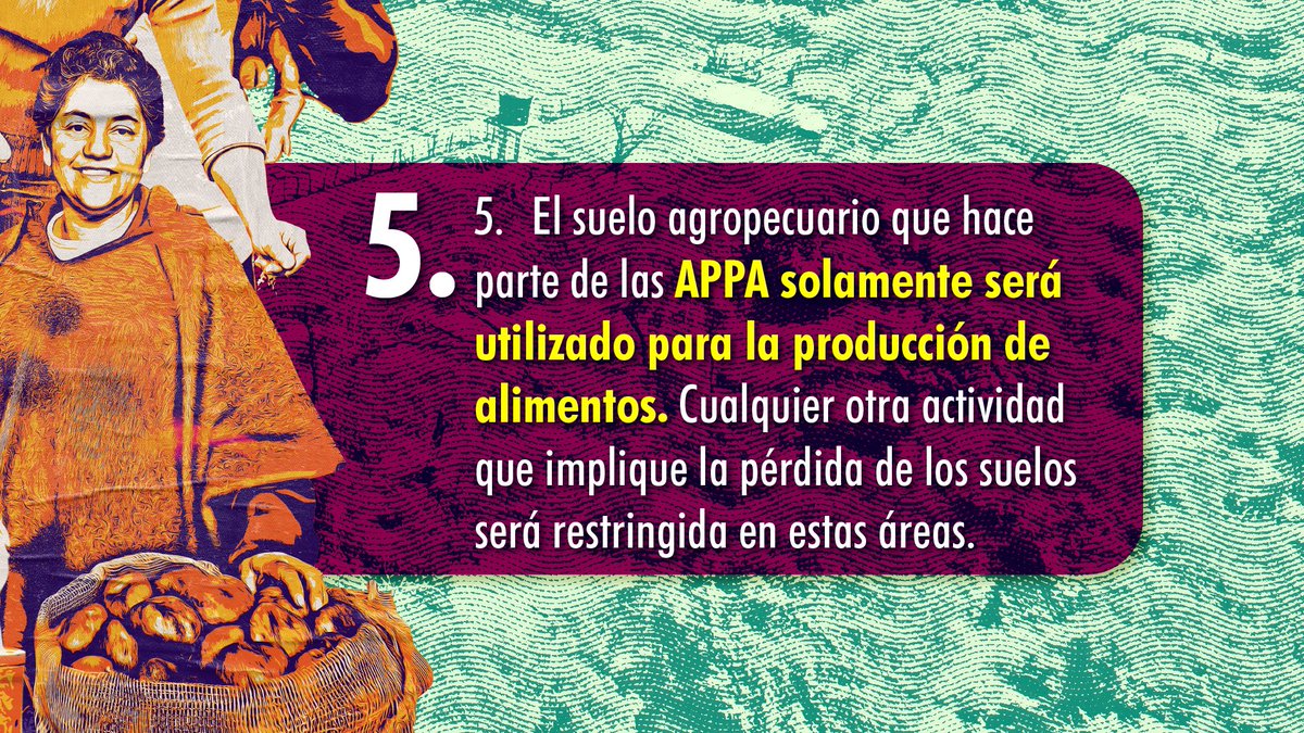 MinAgricultura's tweet photo. ¡Las #APPA son territorios de #RevoluciónPorLaVida! 🌱💚Descubre cómo las Áreas de Protección para la Producción de Alimentos impulsan las economías campesinas, promueven sistemas agroalimentarios sostenibles y protegen nuestros suelos. 🌾¡Juntos avanzamos hacia una agricultura familiar, campesina, étnica y comunitaria 👩🏾‍🌾protagonista de la Colombia, #PotenciaAgroalimentaria! 🚜