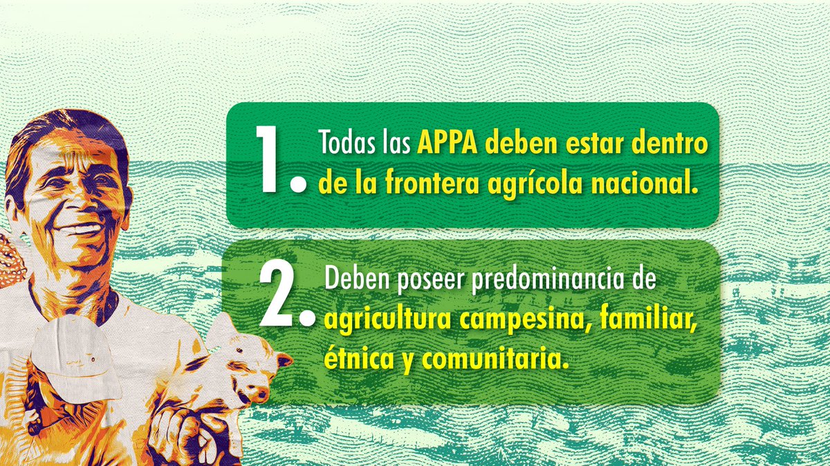 MinAgricultura's tweet photo. ¡Las #APPA son territorios de #RevoluciónPorLaVida! 🌱💚Descubre cómo las Áreas de Protección para la Producción de Alimentos impulsan las economías campesinas, promueven sistemas agroalimentarios sostenibles y protegen nuestros suelos. 🌾¡Juntos avanzamos hacia una agricultura familiar, campesina, étnica y comunitaria 👩🏾‍🌾protagonista de la Colombia, #PotenciaAgroalimentaria! 🚜