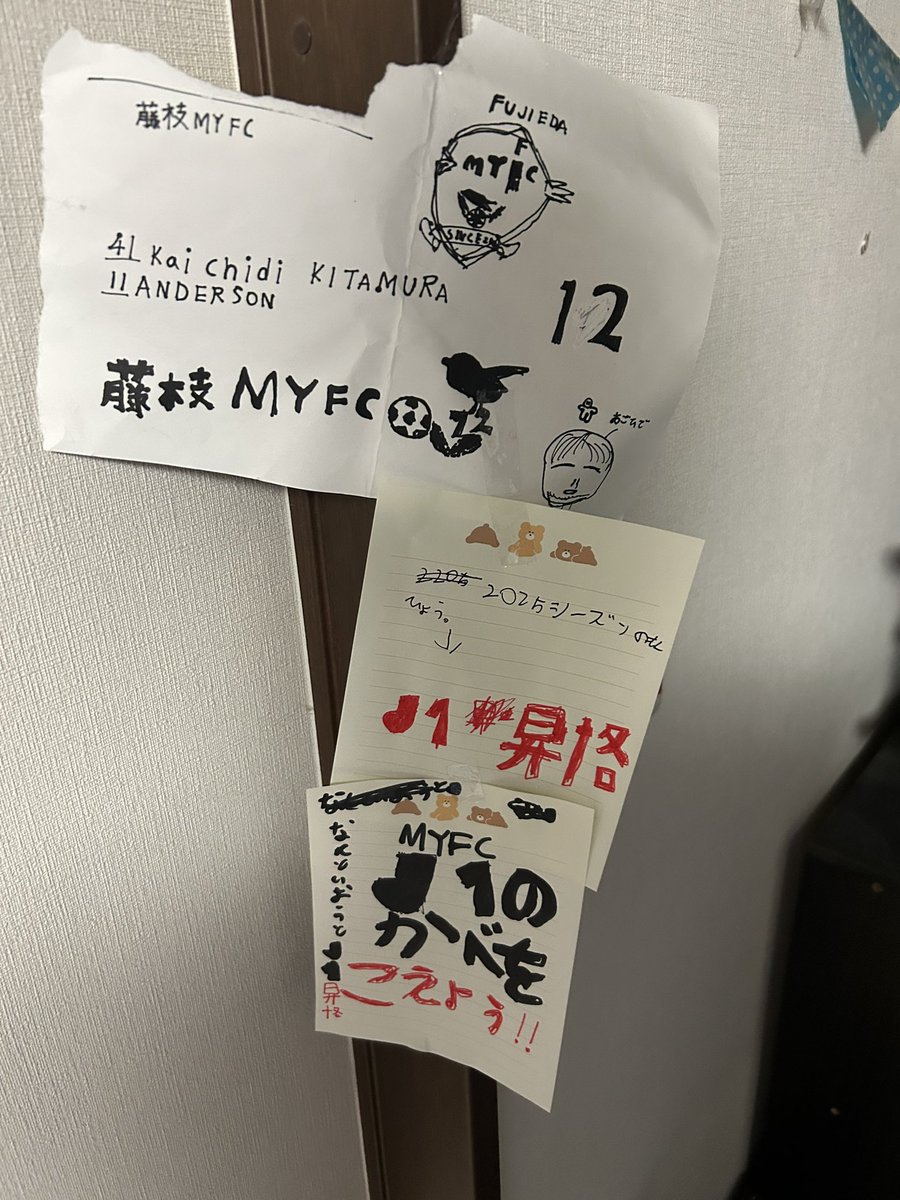 我が家の頼もしいサポーター❗️来シーズンが待ちきれない。頑張れ藤枝MYFC