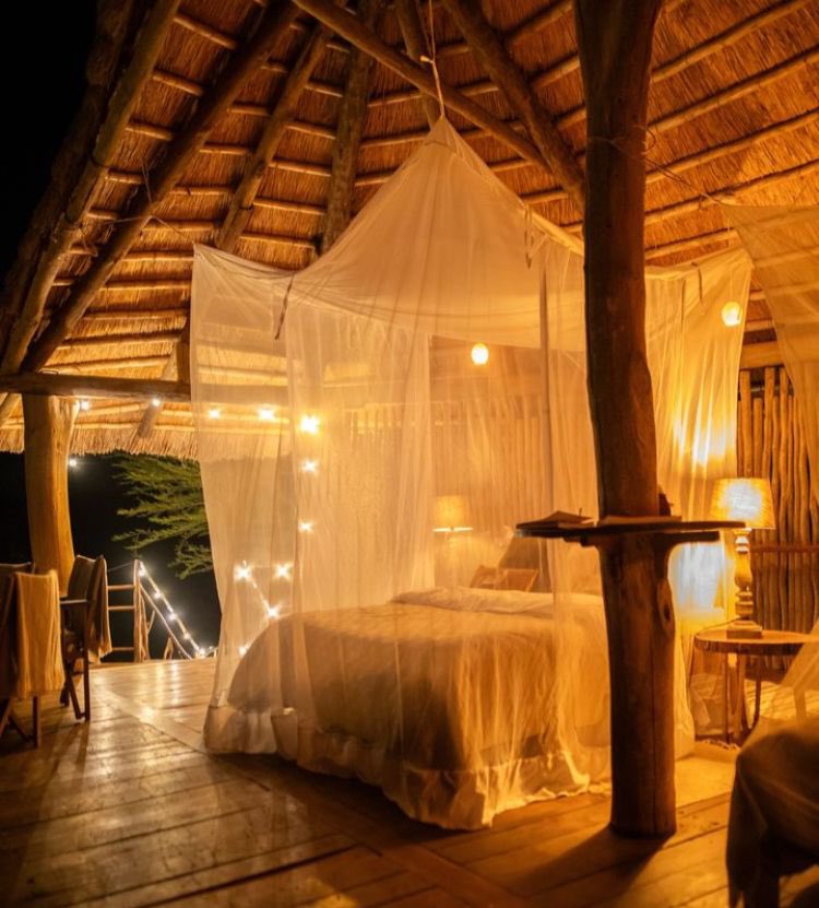 wildbreezesafrs's tweet photo. Explore Africa, the birthplace of adventure! 
Imagine mornings in Kenya, where Hildana Lodge immerses you in the wild heart of the savanna. 

It's time to create your adventure!

Why wait?
Contact us:
+256772843010 /
+256750608410
Email:
inquiries@wildbreezesafaris.com. https://t.co/5ZmcocSFpl