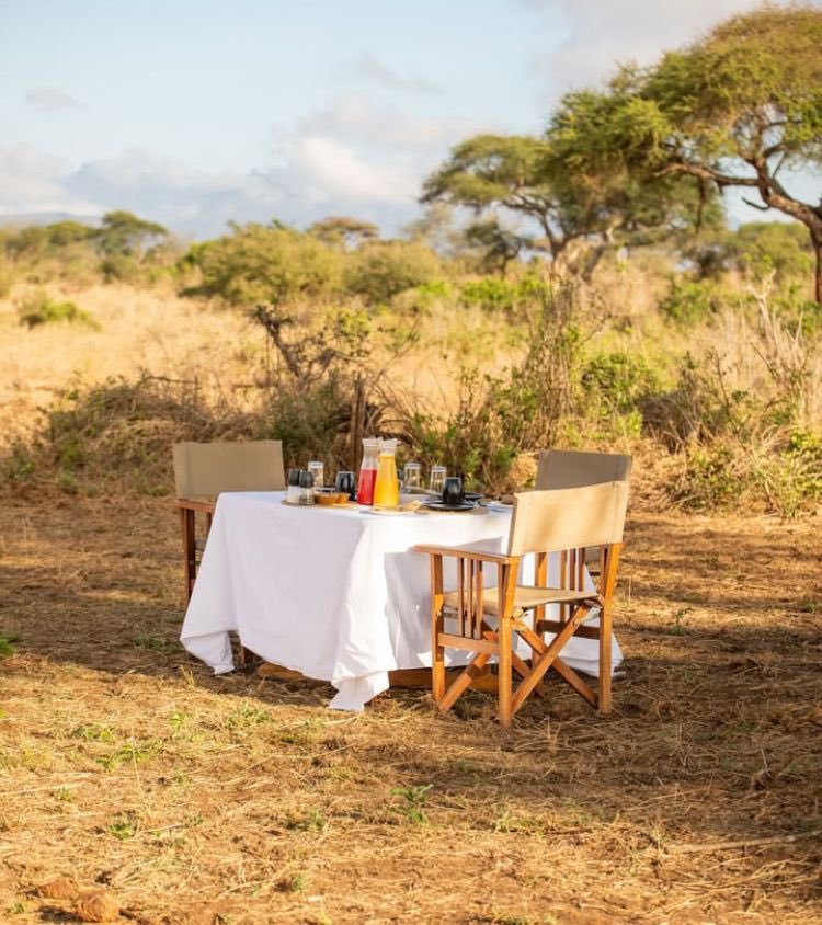 wildbreezesafrs's tweet photo. Explore Africa, the birthplace of adventure! 
Imagine mornings in Kenya, where Hildana Lodge immerses you in the wild heart of the savanna. 

It's time to create your adventure!

Why wait?
Contact us:
+256772843010 /
+256750608410
Email:
inquiries@wildbreezesafaris.com. https://t.co/5ZmcocSFpl