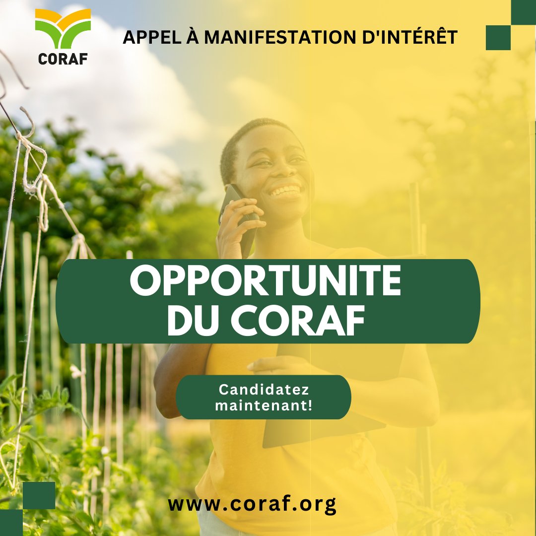 CORAFNews's tweet photo. 📢 Recrutement | Le @CORAFNews recherche un(e) Expert(e) Senior en Seed Business.

Êtes-vous passionné(e) par le développement des systèmes semenciers ? Rejoignez le Programme #WASSD.

📌 Postulez dès maintenant!
👉🏿 Les détails ici => https://t.co/qWBOUemDlj
⏳ Deadline: 6/12/24 https://t.co/mU4Ooi75pZ