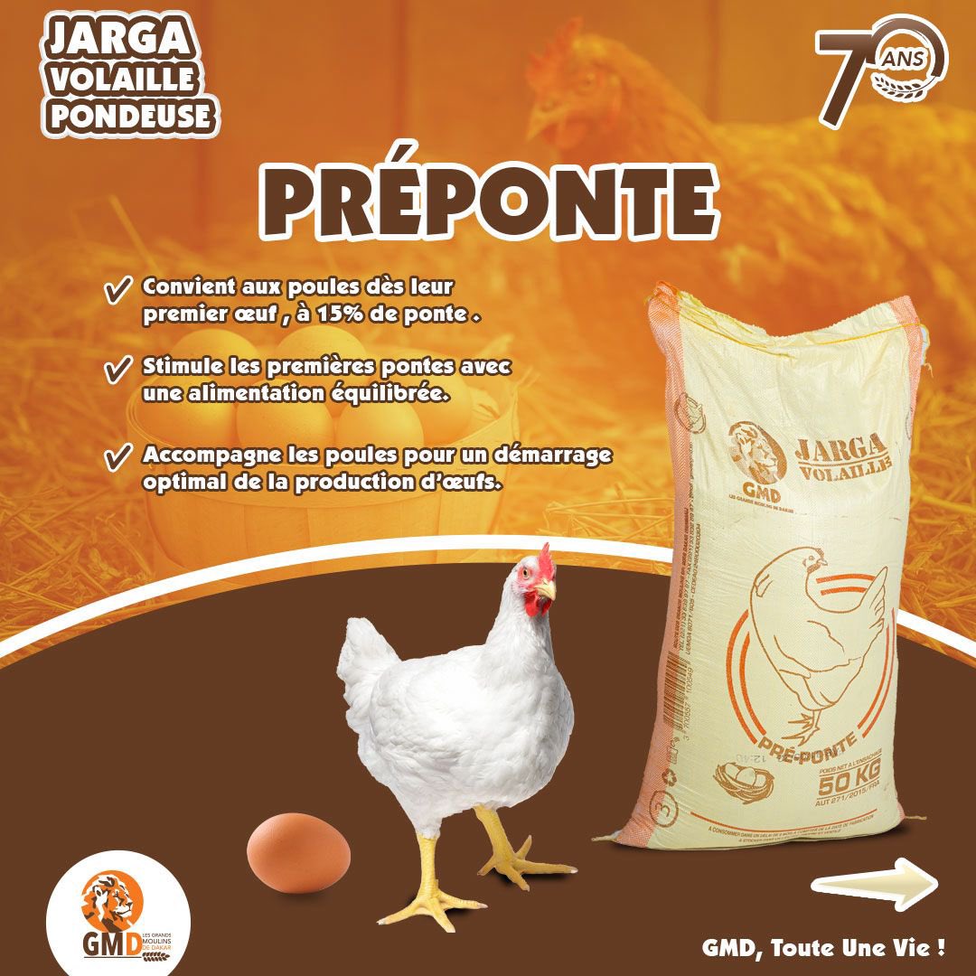 Les_GMD's tweet photo. De l’éclosion à la ponte, suivez l’évolution de votre élevage à chaque étape de leur croissance avec nos aliments Jarga Volaille Pondeuse ! 🐥➡️🐔
GMD, Toute Une Vie !
#gmd #70ans #jarga #pondeuse https://t.co/f9IzyKyCcR
