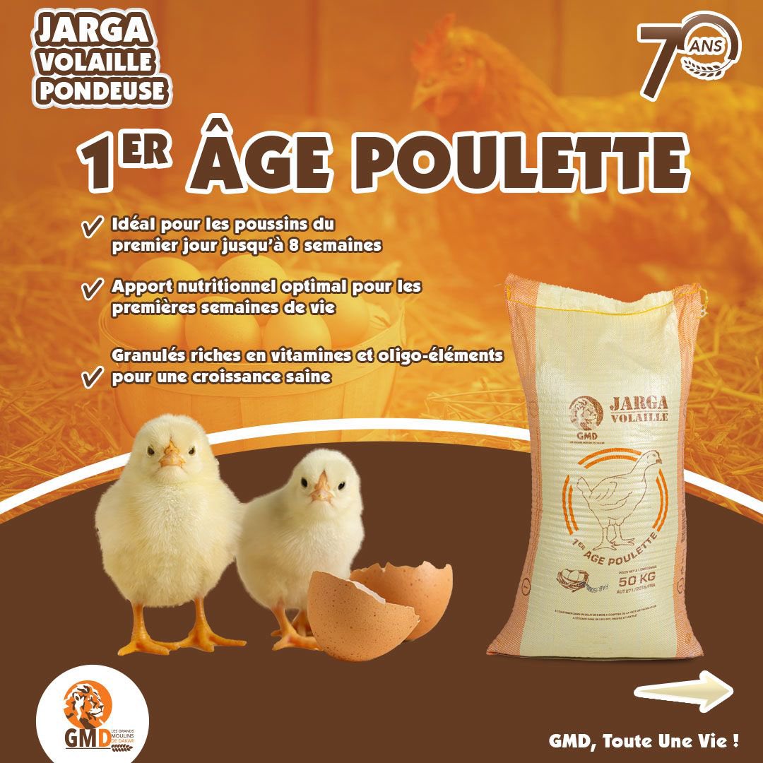 Les_GMD's tweet photo. De l’éclosion à la ponte, suivez l’évolution de votre élevage à chaque étape de leur croissance avec nos aliments Jarga Volaille Pondeuse ! 🐥➡️🐔
GMD, Toute Une Vie !
#gmd #70ans #jarga #pondeuse https://t.co/f9IzyKyCcR