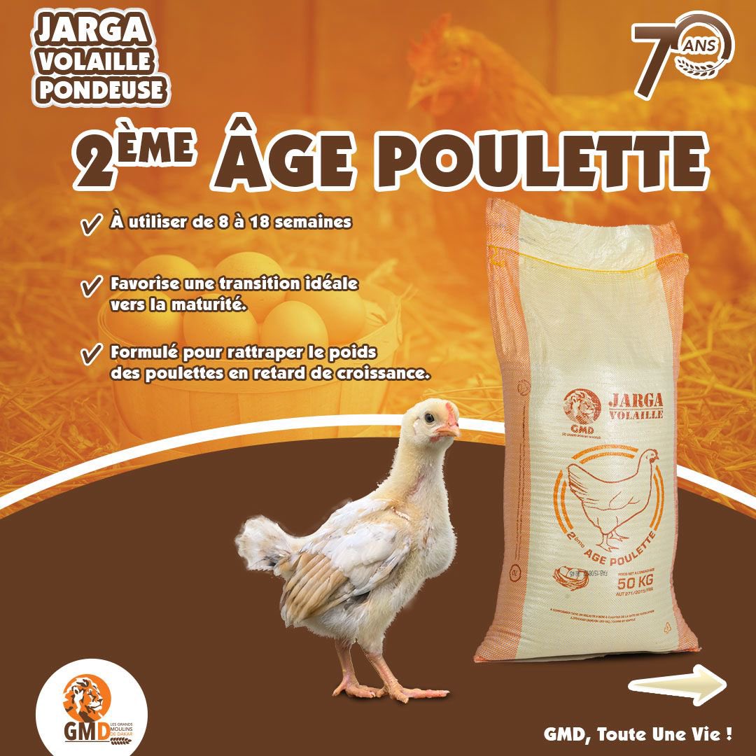 Les_GMD's tweet photo. De l’éclosion à la ponte, suivez l’évolution de votre élevage à chaque étape de leur croissance avec nos aliments Jarga Volaille Pondeuse ! 🐥➡️🐔
GMD, Toute Une Vie !
#gmd #70ans #jarga #pondeuse https://t.co/f9IzyKyCcR