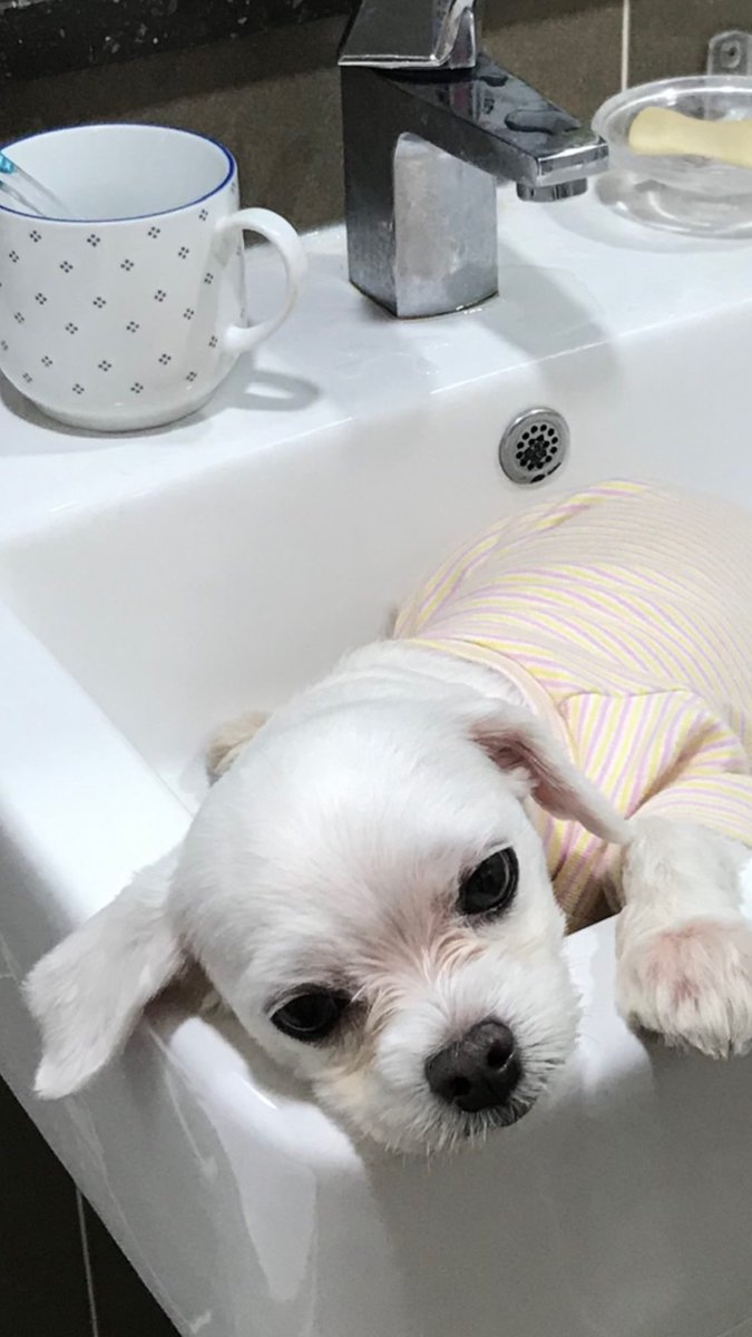 ppoyeppi's tweet photo. It's time to take a shower 🫥 https://t.co/jmLSnYtTuY