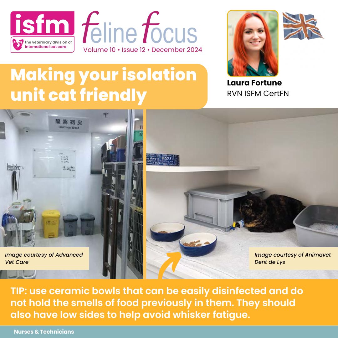 🐈 Find out what you can do to make a stay in isolation more comfortable for your feline patients in the latest issue of our free nursing journal #FelineFocus with RVN Laura. 

🤩 Log in to portal.icatcare.org, select Forums &amp; Library and head to the Resource Library tab.