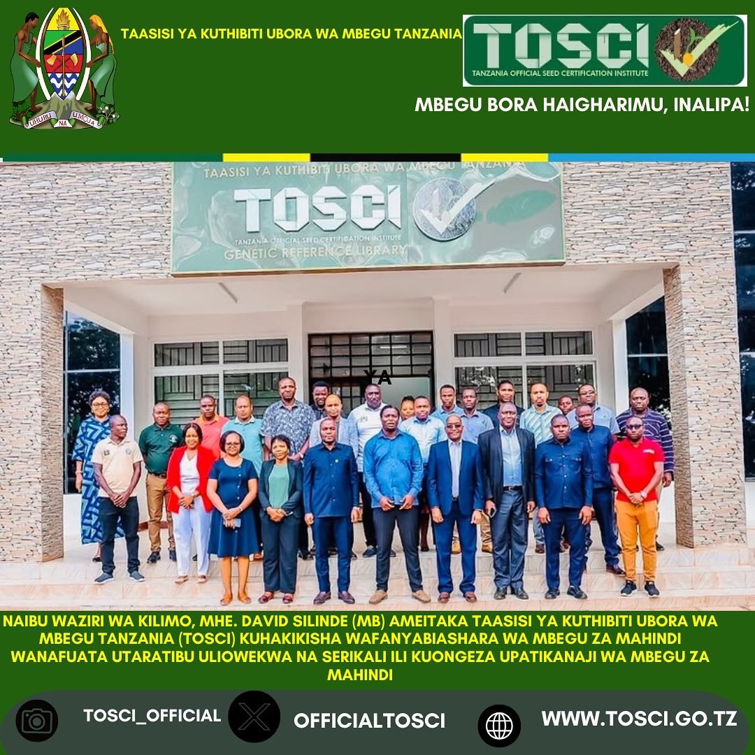 TOSCI OFFICIAL (@officialtosci) on Twitter photo 