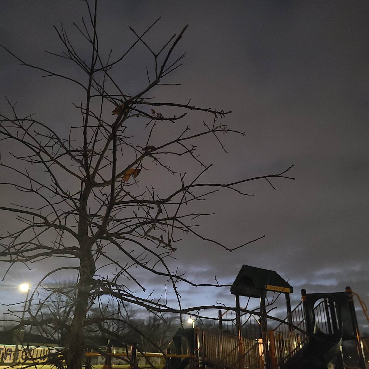 SueOestmann's tweet photo. A little damp out there, but warmer. Enjoy it while you can. 46F #Chicago #StepOutside #Breathe  #DailyWeatherReport #TakeAnotherShot #GetAfterIt.... 🐺 https://t.co/G7lvt256I9