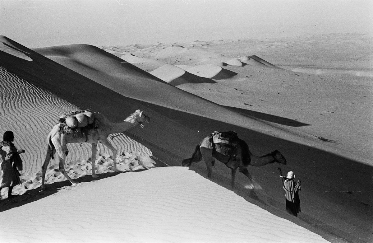 ksaexpats's tweet photo. Photographs of the #EmptyQuarter in Saudi Arabia, taken in 1948 by Wilfred Thesiger.
Pitt Rivers Museum, University of Oxford. https://t.co/eY969nGtye