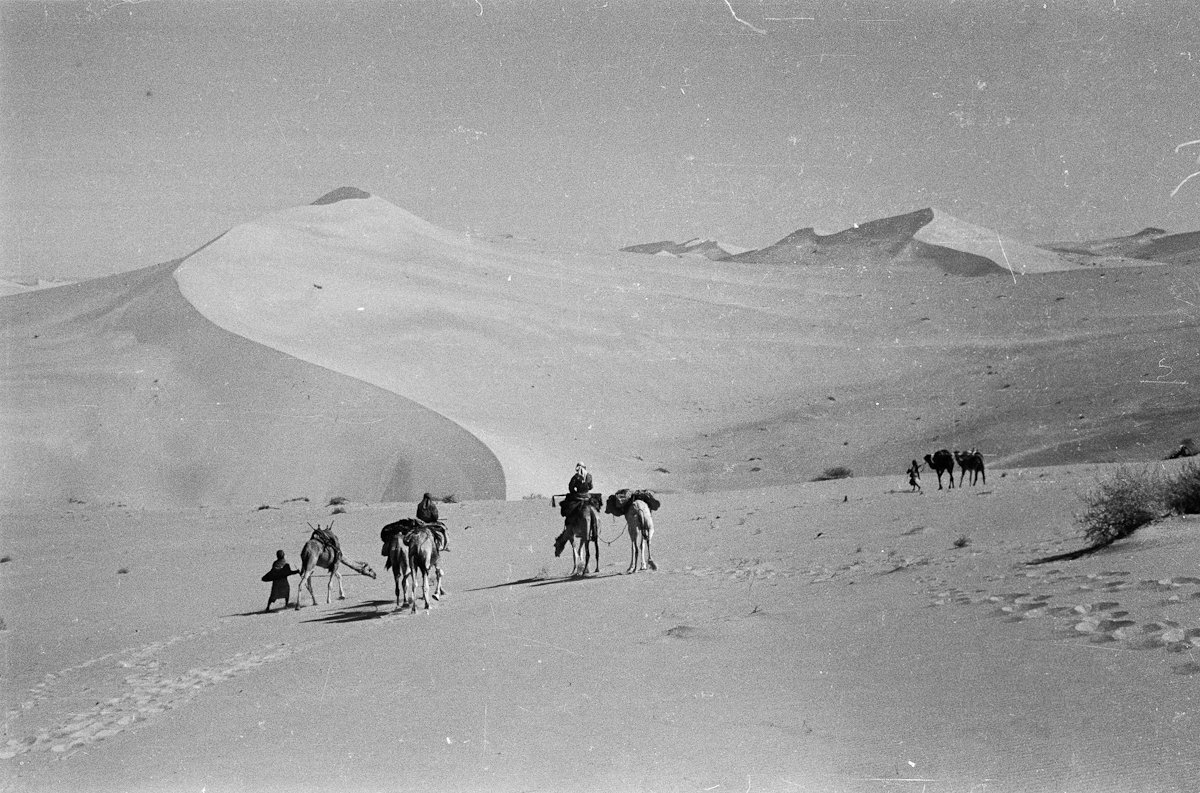 ksaexpats's tweet photo. Photographs of the #EmptyQuarter in Saudi Arabia, taken in 1948 by Wilfred Thesiger.
Pitt Rivers Museum, University of Oxford. https://t.co/eY969nGtye