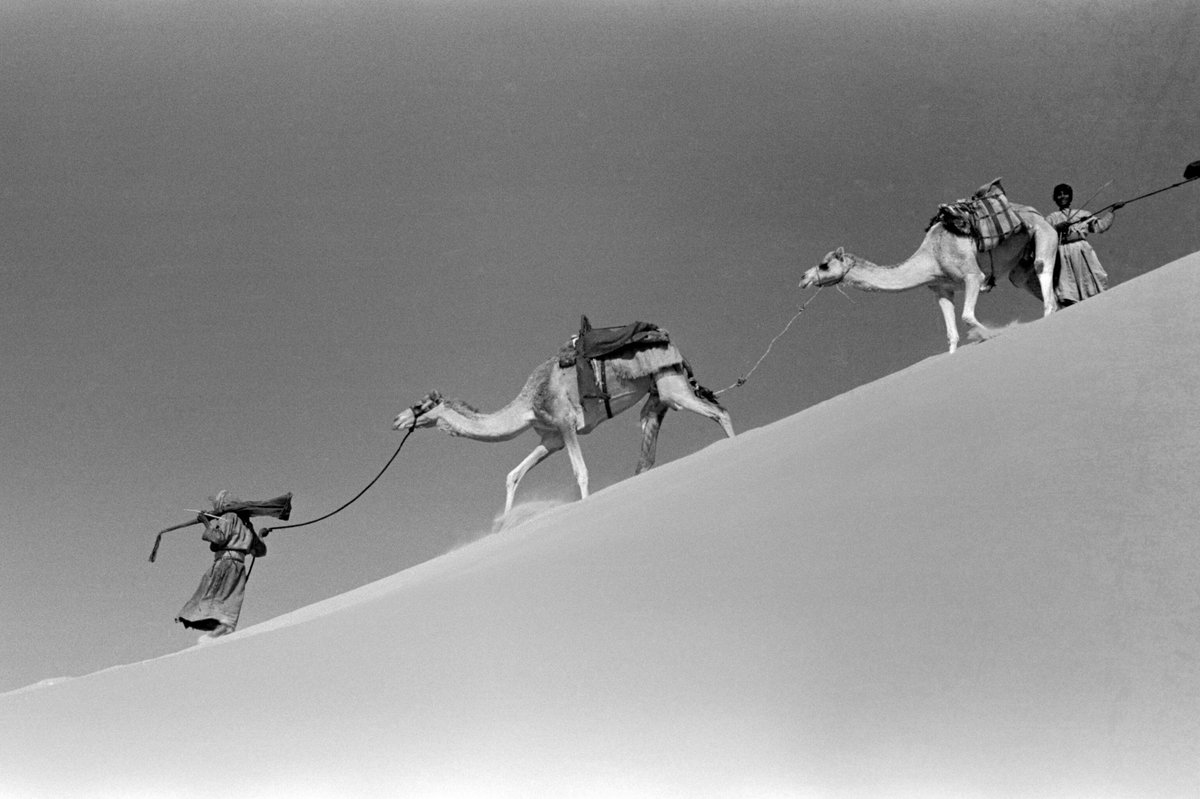ksaexpats's tweet photo. Photographs of the #EmptyQuarter in Saudi Arabia, taken in 1948 by Wilfred Thesiger.
Pitt Rivers Museum, University of Oxford. https://t.co/eY969nGtye
