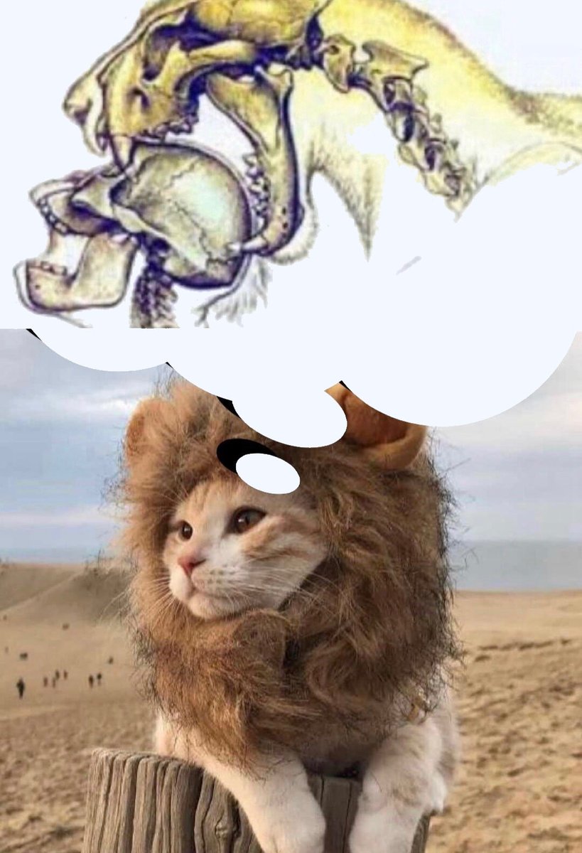 unconquered_sol's tweet image. 