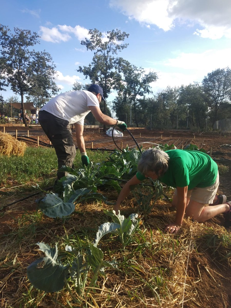 Humana3C tweet media