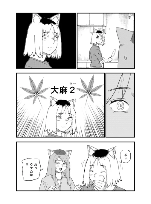 (2/2) 