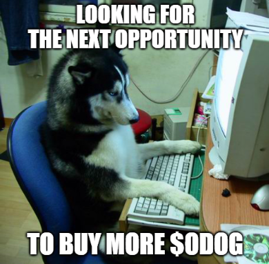 BitcoinDogsClub's tweet photo. Keep an eye on the charts, dawgs! 📊🐾 https://t.co/UQQWOGaoDw
