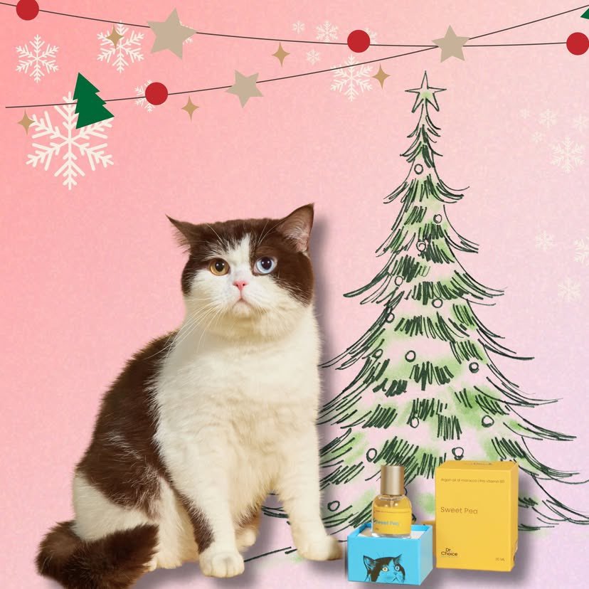 PremSpace_India's tweet photo. 📅 Monday [09.12.2024]
IG : dr.choicepet

🎉 5 DAYS LEFT! 🎉
Don’t miss LAST LIVE on 14 Dec 24 | 18:00! 🌟

💫 Be one of the lucky 50 people to join our exclusive Meet &amp; Greet in April 2025! 🎉

#DCxGiantPiccolo
#บุ๋นเปรม #bb0un #prem_space #BounPrem
#PremSpace_India https://t.co/8B6JHTaNLx
