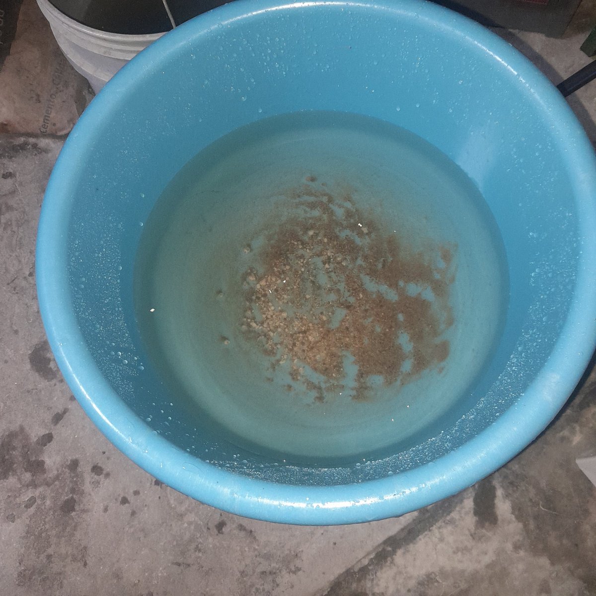 MIMIAdeC11's tweet photo. @ANDASV @CastanedaCJorge @nayibbukele Por favor sr. @CastanedaCJorge urge en Soyapango, Prados de Venecia3 el agua esta cayendo con perderás y sucias, hasta ha tapado las tuberías, no exajero, abre grifo y cae el agua qué no es apta para consumo humano!!! https://t.co/YX1CEqyyBp