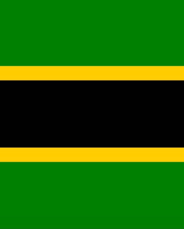 MpululuOG's tweet photo. My toxic relationship with my country is so Sagittarius coded, for the both of us 🎂 

Birthday twins for real 💚💛🖤 (💙)

(Of course, with a pinch of political innuendo)

Happy Independence day, Tanganyika https://t.co/CWUwmT8MyQ