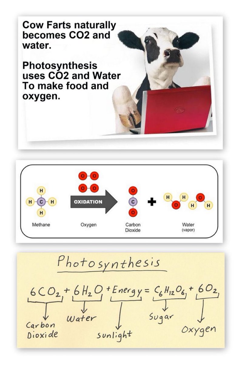 Follow this science.