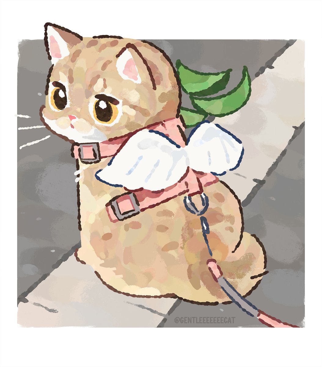 GENTLECAT tweet media