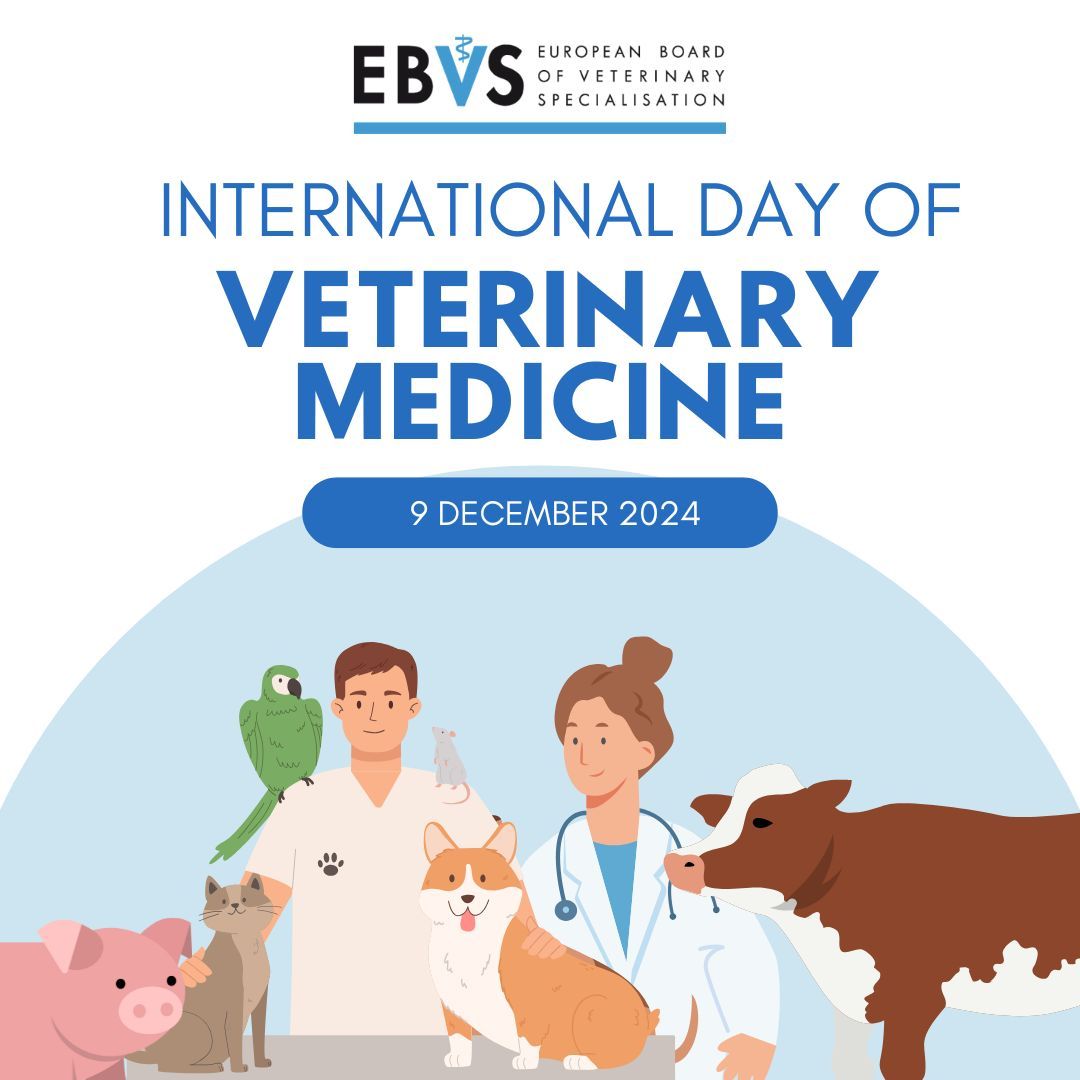 🌍 Happy International Day of Veterinary Medicine!
Today, we celebrate veterinarians safeguarding animal welfare, public health, and biodiversity. At EBVS, we honor specialists shaping a better future. 
#InternationalDayOfVeterinaryMedicine #VetImpact #EUvetspecialists