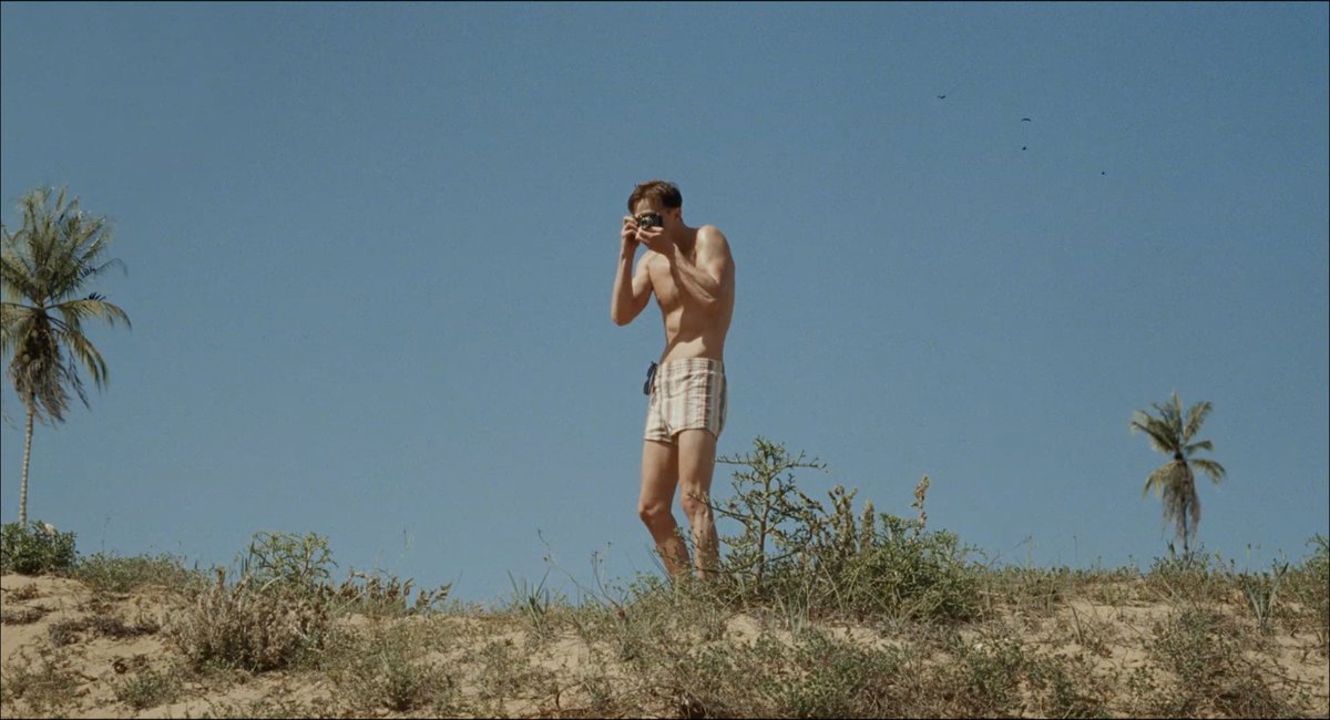 mubi's tweet photo. https://t.co/BZwmc5CzTS