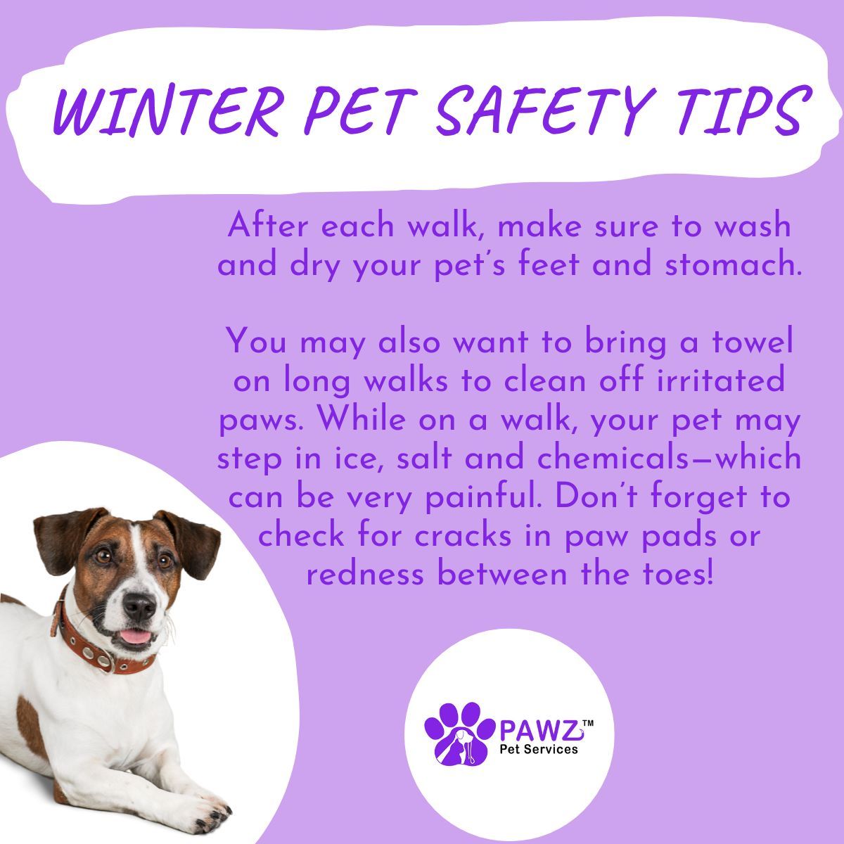 PawzServices's tweet photo. We're happy to share these tips from the ASPCA about ways to help keep your fur babies healthy and happy during the winter season. ❄️ 
https://t.co/T07gyoW2nu 

#winter #safetytips #petsafety #pets #dogs #cats #dogwalkers #petsitting #NorthCarolina #Raleigh #Asheville https://t.co/WeCkZwmicI