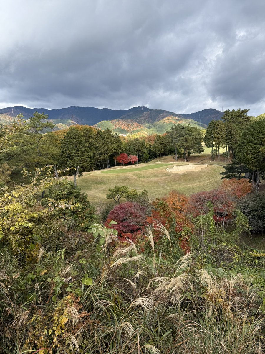 FineoliveSyn's tweet photo. 今日は平日ラウンド
風もなくこの時期にしては寒くなかったけど腰がやっぱり回転しない💦
紅葉はいい感じ
#ゴルフ
#平日
#紅葉 https://t.co/dJCqU5jVAF