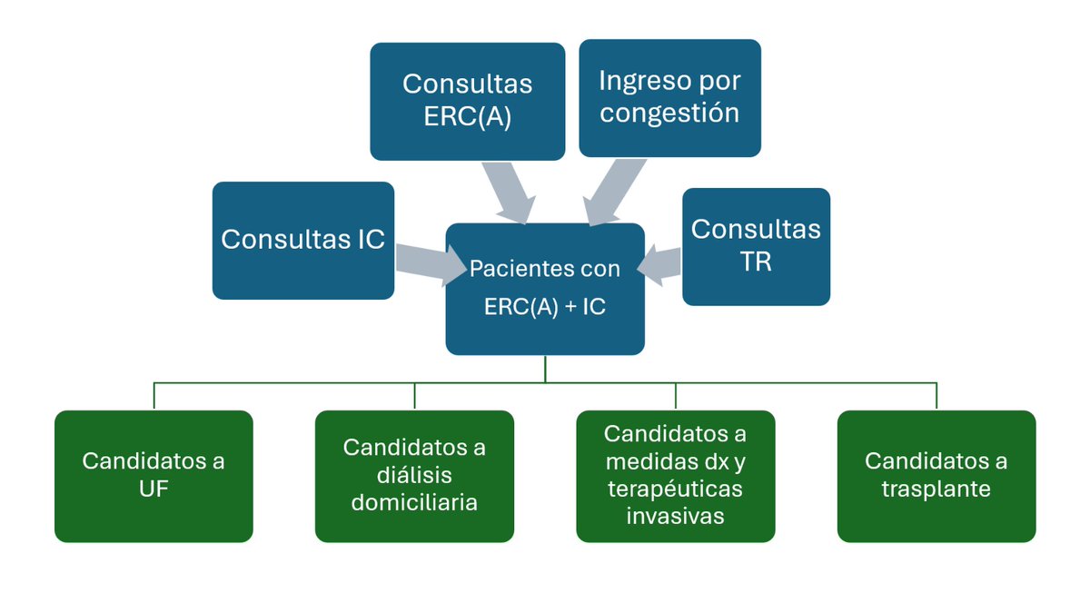 NefroChuac's tweet photo. La Dra. Catuxa Rodríguez Magariños @crodmag presentando la Unidad Cardiorrenal en el Curso de Formación Continuada de Cardiología ♥️🙌 @eduardo_barge @danienriquezv @MG_Crespo_Leiro @martaabp https://t.co/bj0OgHFh9f