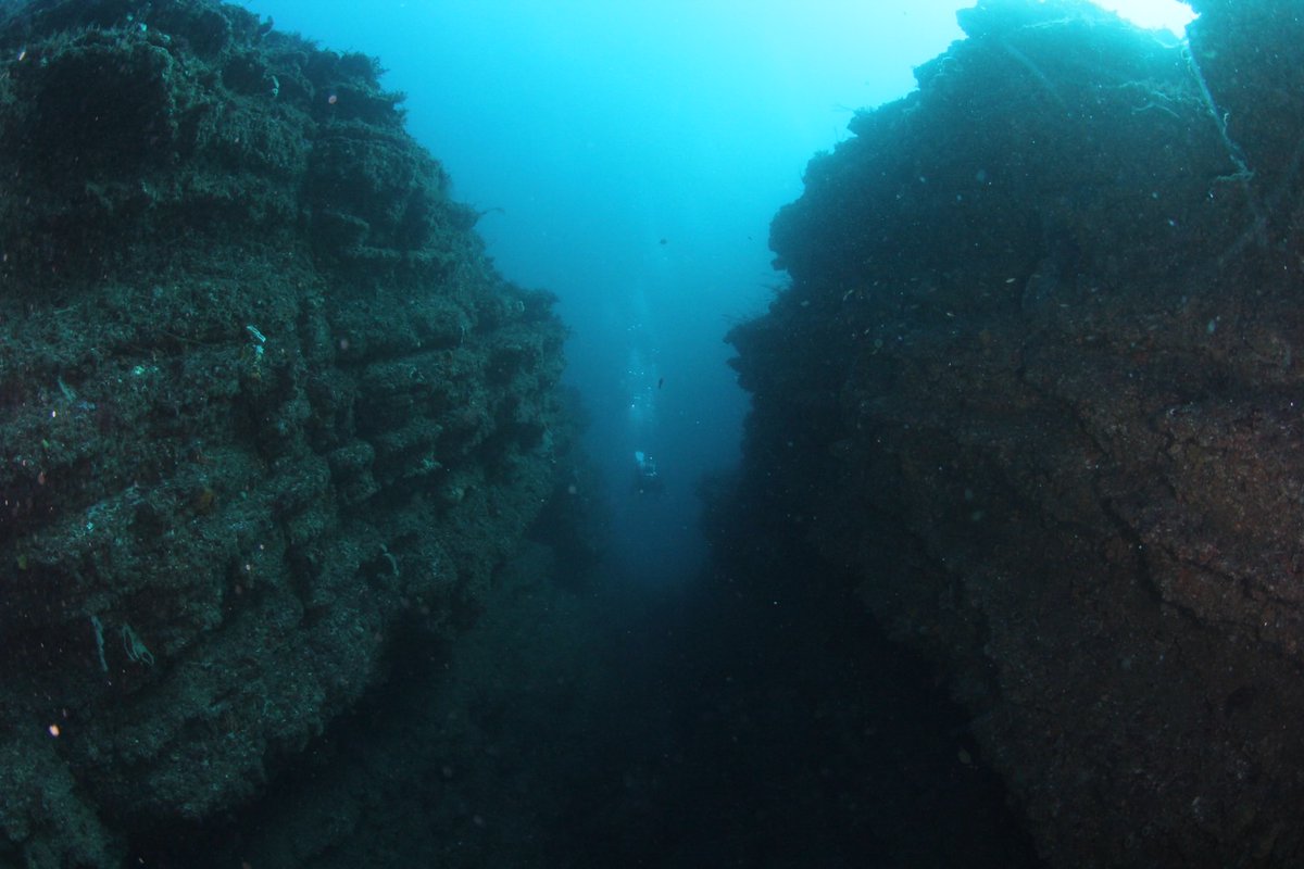 TMaharo's tweet photo. DUCK DIVE
海ブログ更新↓
2024.12.09
千葉の海　勝浦鵜原
ビーチ・ボート
https://t.co/ovFPA77kvr
ーーーーーーーーーーー
ホームページ↓
https://t.co/F6Hytm8w6l
ーーーーーーーーーーーー
【千葉】【勝浦】【館山】
スキューバ　ダイビング
DUCKDIVE　DIVINGSHOP
ーーーーーーーーーーーー https://t.co/xELpUHEL7D