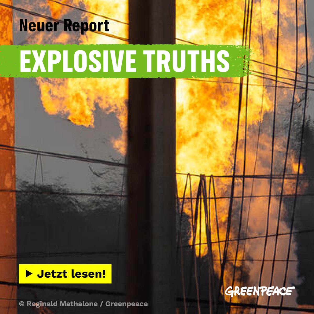 Greenpeace e.V. tweet media