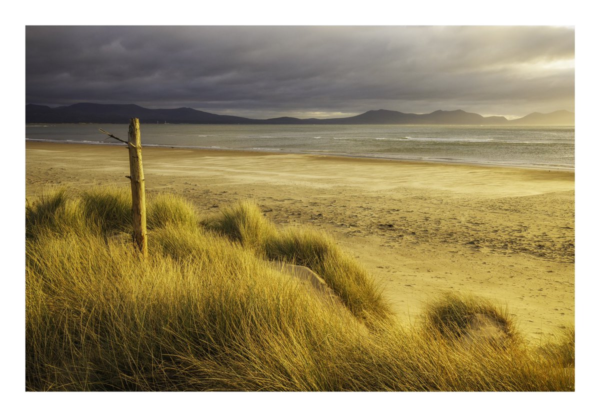 Verity Milligan tweet media