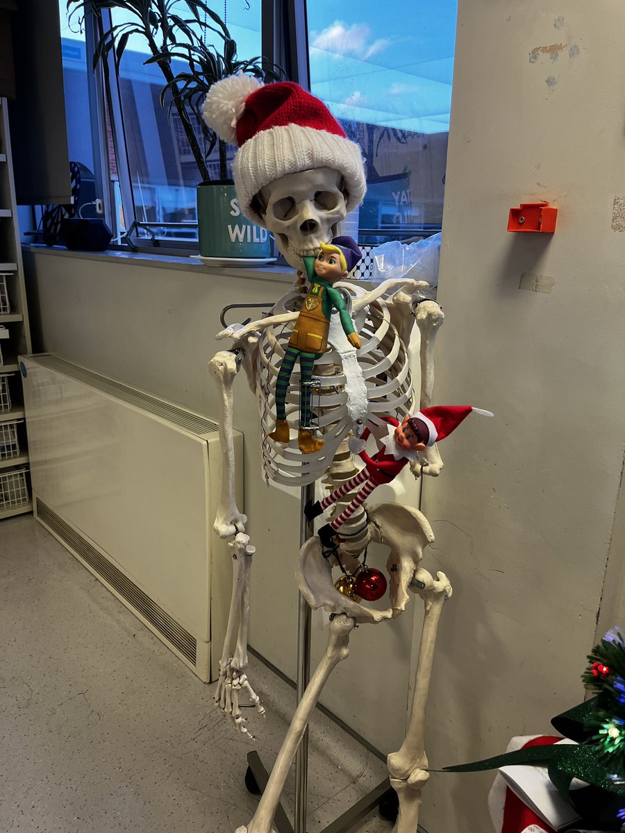 StG Trauma Physio/OT (@stgtraumaptot) on Twitter photo Elves hanging out in T&O Therapy Gym <a href="/geshNHS/">St George's, Epsom and St Helier</a> <a href="/StGTraumaPTOT/">StG Trauma Physio/OT</a> Elves hanging out in T&O Therapy Gym <a href="/geshNHS/">St George's, Epsom and St Helier</a> <a href="/StGTraumaPTOT/">StG Trauma Physio/OT</a>