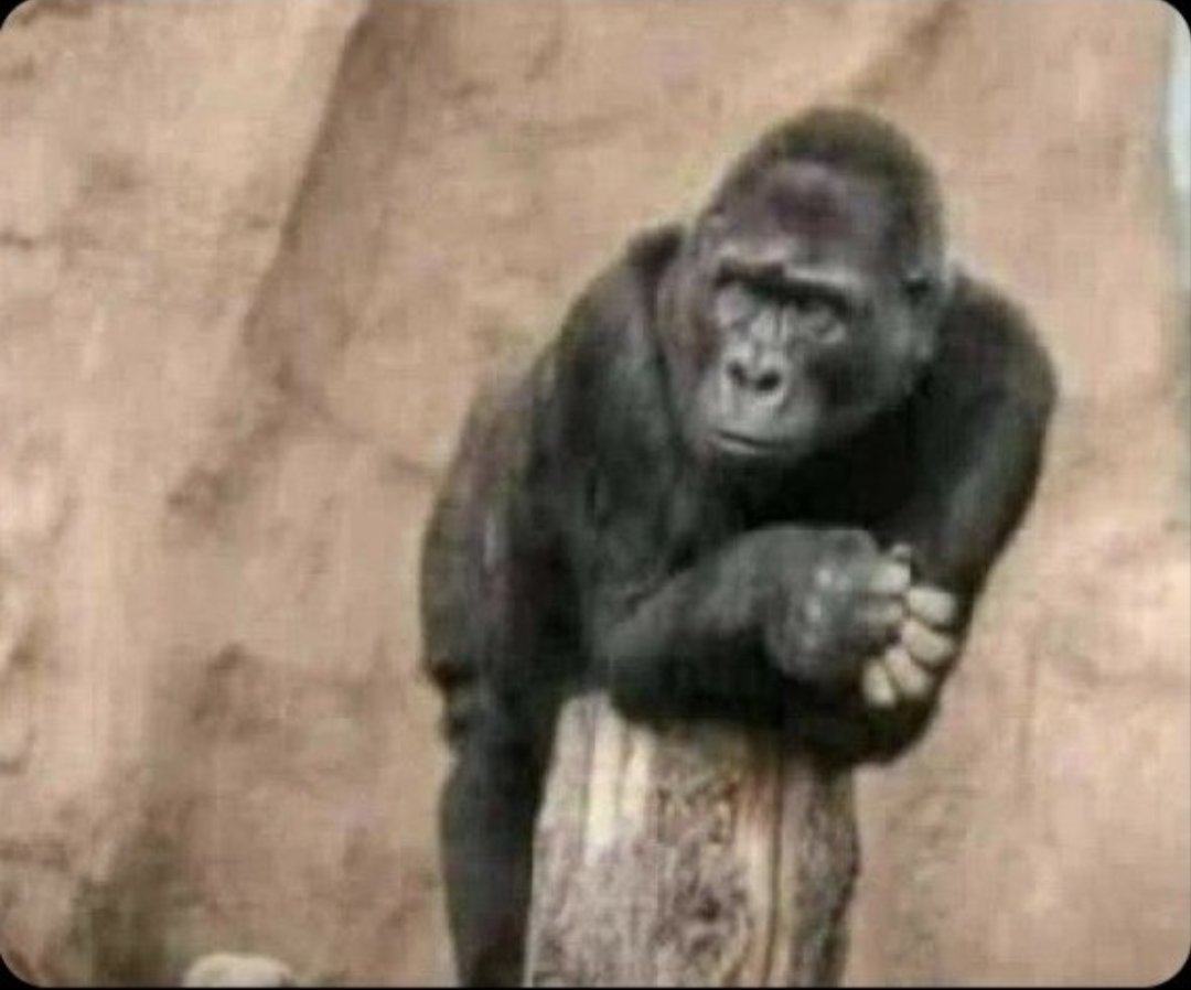 Nawebaguhe's tweet photo. Ese ubu Koko mwampa follow kondigutanga follow back

Follow @Nawebaguhe,I fb in 2second 🔥🔥🔥🔥🔥🔥 🔥 https://t.co/eRSXUx5p4r