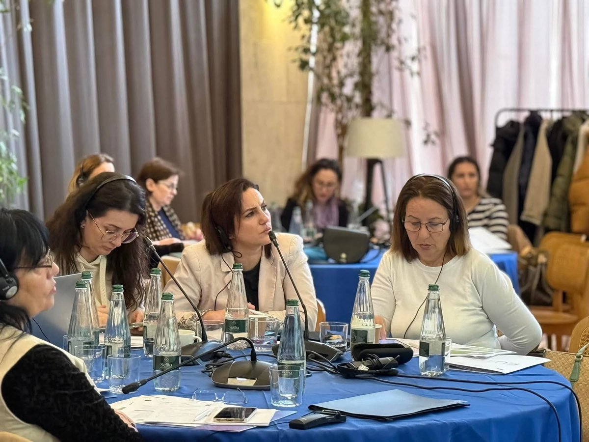 UNDPAlbania's tweet photo. Empowering Communities of Practice at NAES 🔹 Peer learning with 🇸🇪 PES on workplace adaptation 🔹 Swedish best practices in vocational rehabilitation & supported employment. 
With our partners we want to create inclusive opportunities for jobseekers with disabilities! 
@EUinAlbania
