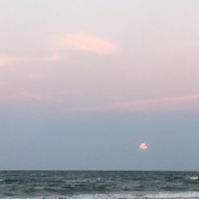lmor_laura's tweet photo. #NewProfilePic https://t.co/9MHy5GpnWG