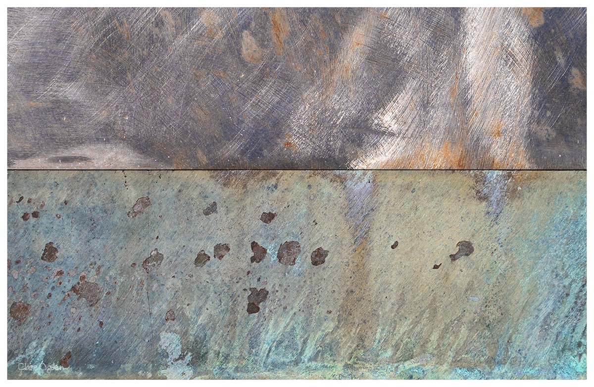 Claire Ogden (Saltdragon) tweet media