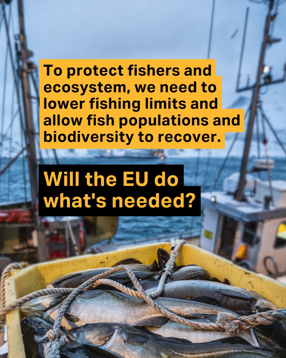 ClientEarth Europe tweet media