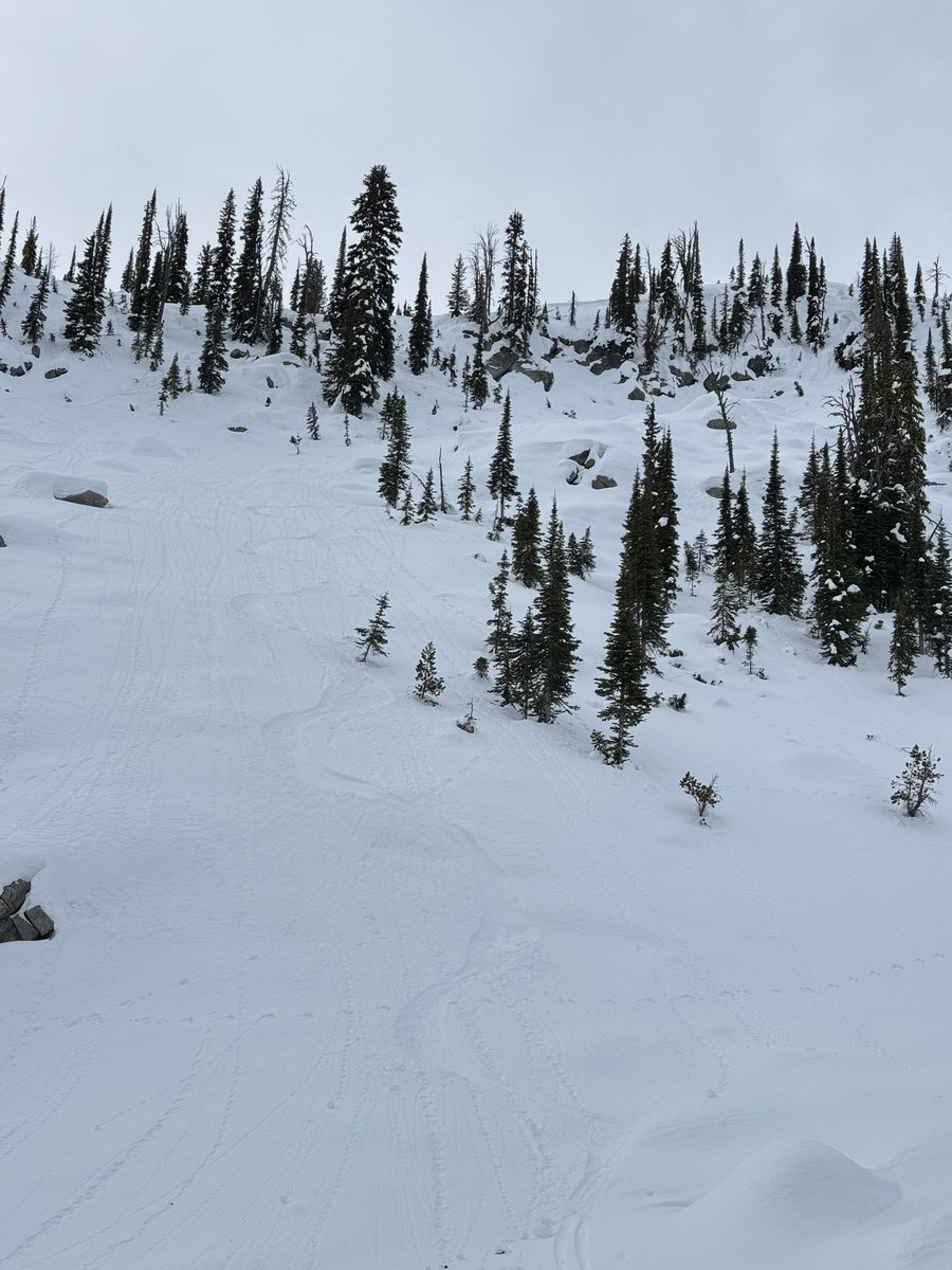 mcskibum's tweet photo. Early season tour https://t.co/Gj8ZjFmqdj