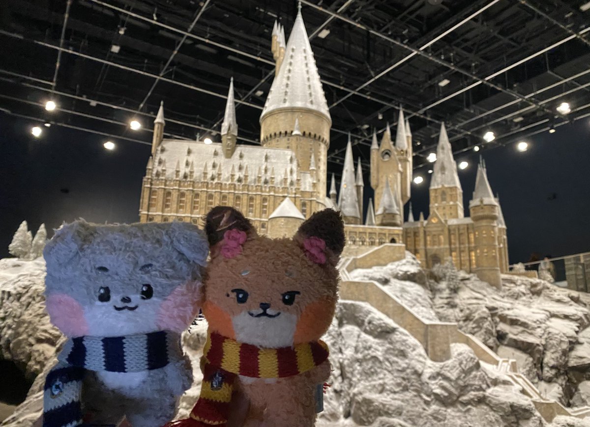 mattparkz at hogwarts 💙🩶❤️💛