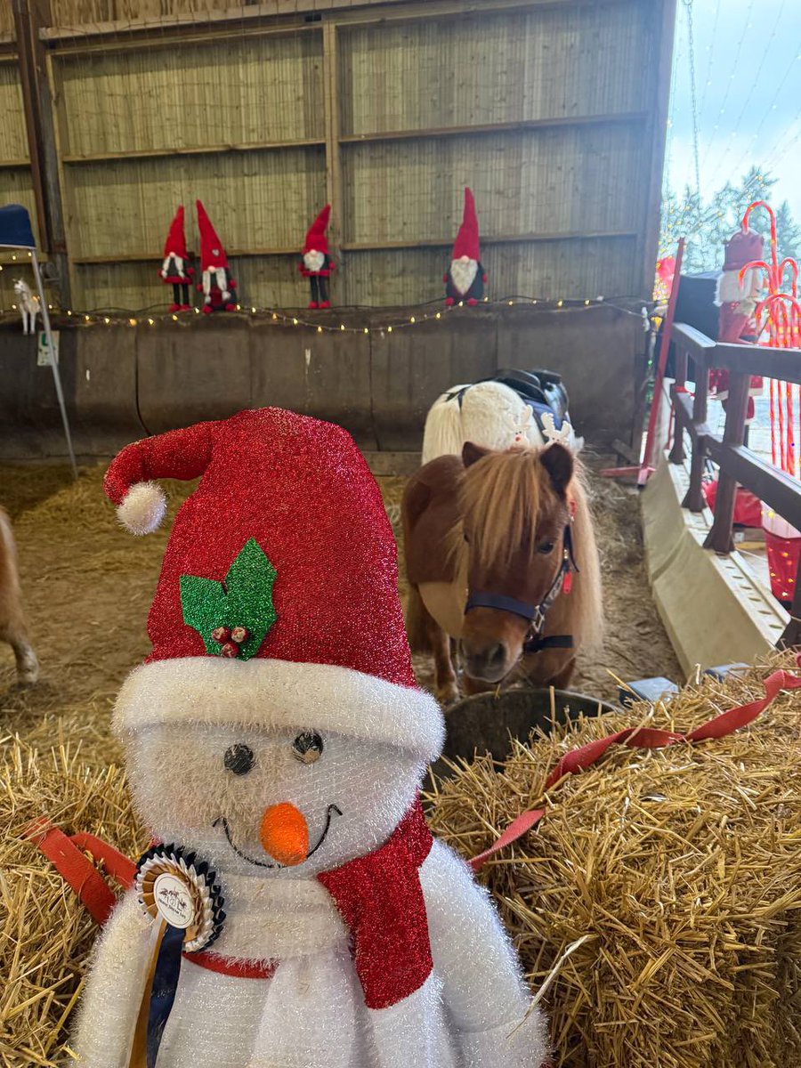NathCarvalho91's tweet photo. C’est avec grand plaisir que je poursuis ma tournée des marchés de Noël.
Chez HDL Equitation à #millylaforet l’ambiance de #noel est bien présente, avec notamment un magnifique sapin et de très belles décorations ainsi que de nombreux exposants.
#circo9102 https://t.co/2UXCxSYAGS