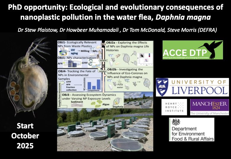 Stewart Plaistow (@stewplaistow) on Twitter photo Please RT - Funded #PhD opportunity in my group studying nanoplastic particles and their ecological and evolutionary significance in replicated whole ecosystems. With <a href="/Howbeer/">Howbeer Muhamadali</a> <a href="/TomOMcDonald/">Tom McDonald</a> and Steve Morris <a href="/DefraGovUK/">Defra UK</a> as case partner. Deadline Jan 8th
findaphd.com/phds/project/a… Please RT - Funded #PhD opportunity in my group studying nanoplastic particles and their ecological and evolutionary significance in replicated whole ecosystems. With <a href="/Howbeer/">Howbeer Muhamadali</a> <a href="/TomOMcDonald/">Tom McDonald</a> and Steve Morris <a href="/DefraGovUK/">Defra UK</a> as case partner. Deadline Jan 8th
findaphd.com/phds/project/a…