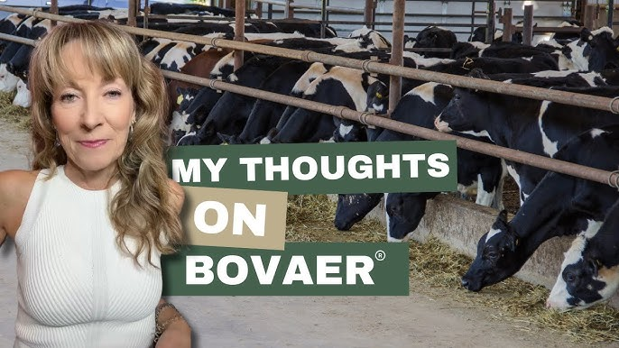 David Atherton tweet media