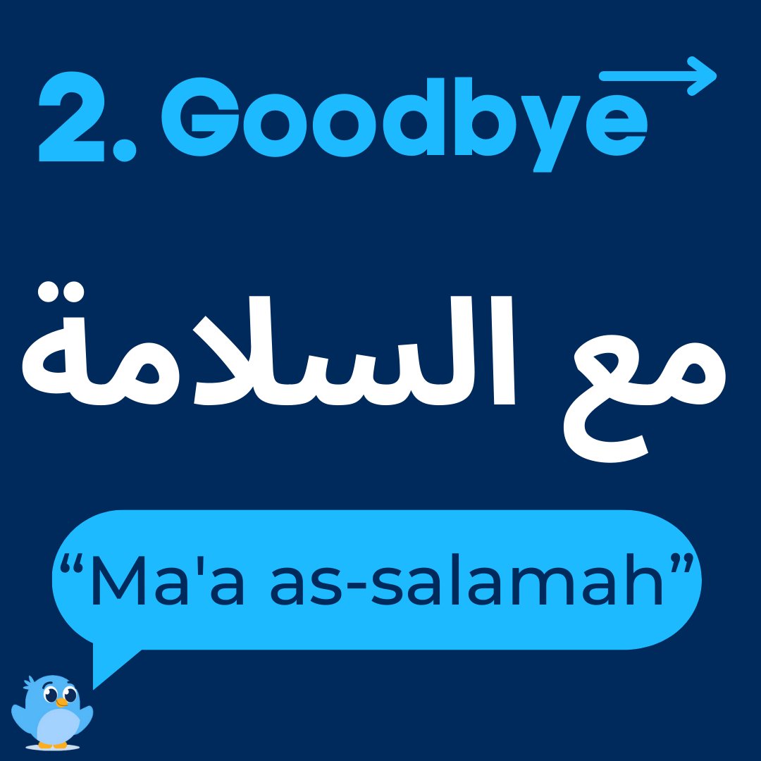 LanguageisE's tweet image. 🌟 Language of the Week: Arabic! 🌟

This week, we’re diving into Arabic! Why not have a go at learning the phrases below?

Give it a go and impress those closest to you! 💬👀

#Arabic #LanguageOfTheWeek #LearnSomethingNew