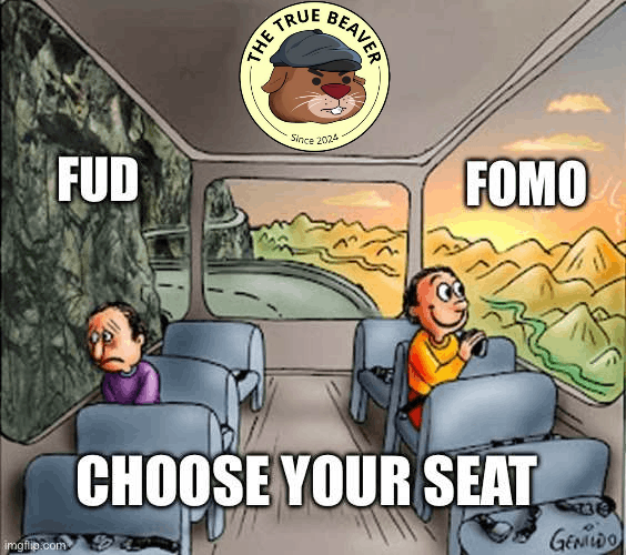 Lemonl890's tweet photo. @BeaverCoin_xyz My entry
@BeaverCoin_xyz
$BEAVER      

Tag
@GoldGuy51
@RyuBOG https://t.co/zlz0XoPr3W