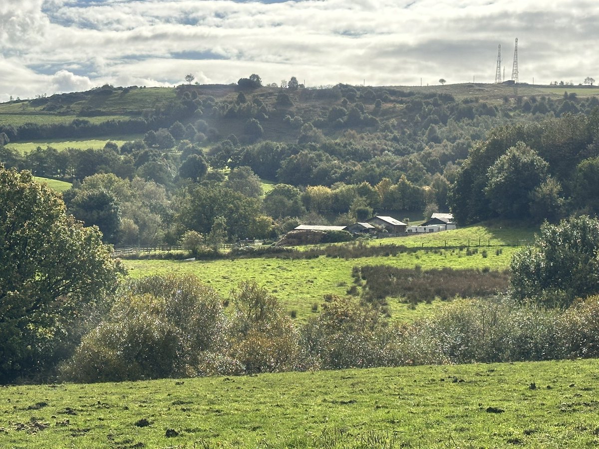 Save Tameside Greenbelt 🍃💚🍃 tweet media