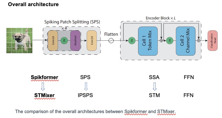 gushilab's tweet image. Attending #NeurIPS2024 today. Excited to see old and new friends. Our presentation on spiking neural networks (SNNs) will be on Wed 11 Dec 11 a.m. PST 2 p.m. PST at East Exhibit Hall A-C #2410. Happy to chat on NeuroAI both from neuroscience and AI views.