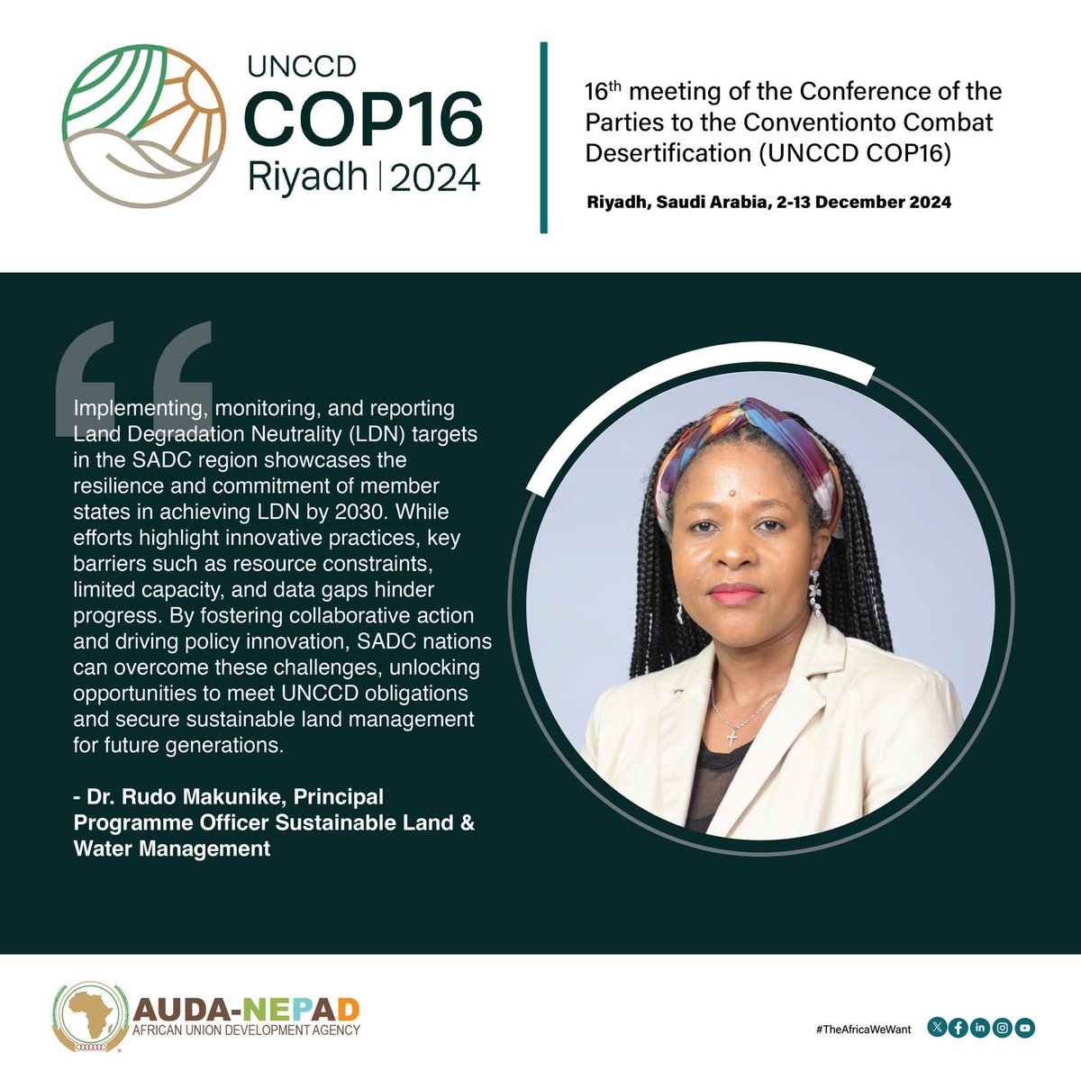 AUDA-NEPAD tweet media
