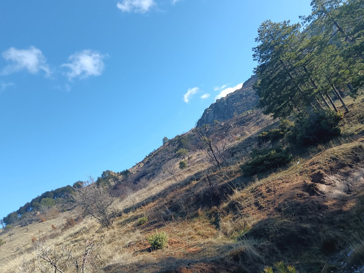 Шубо е времево...,, 😁